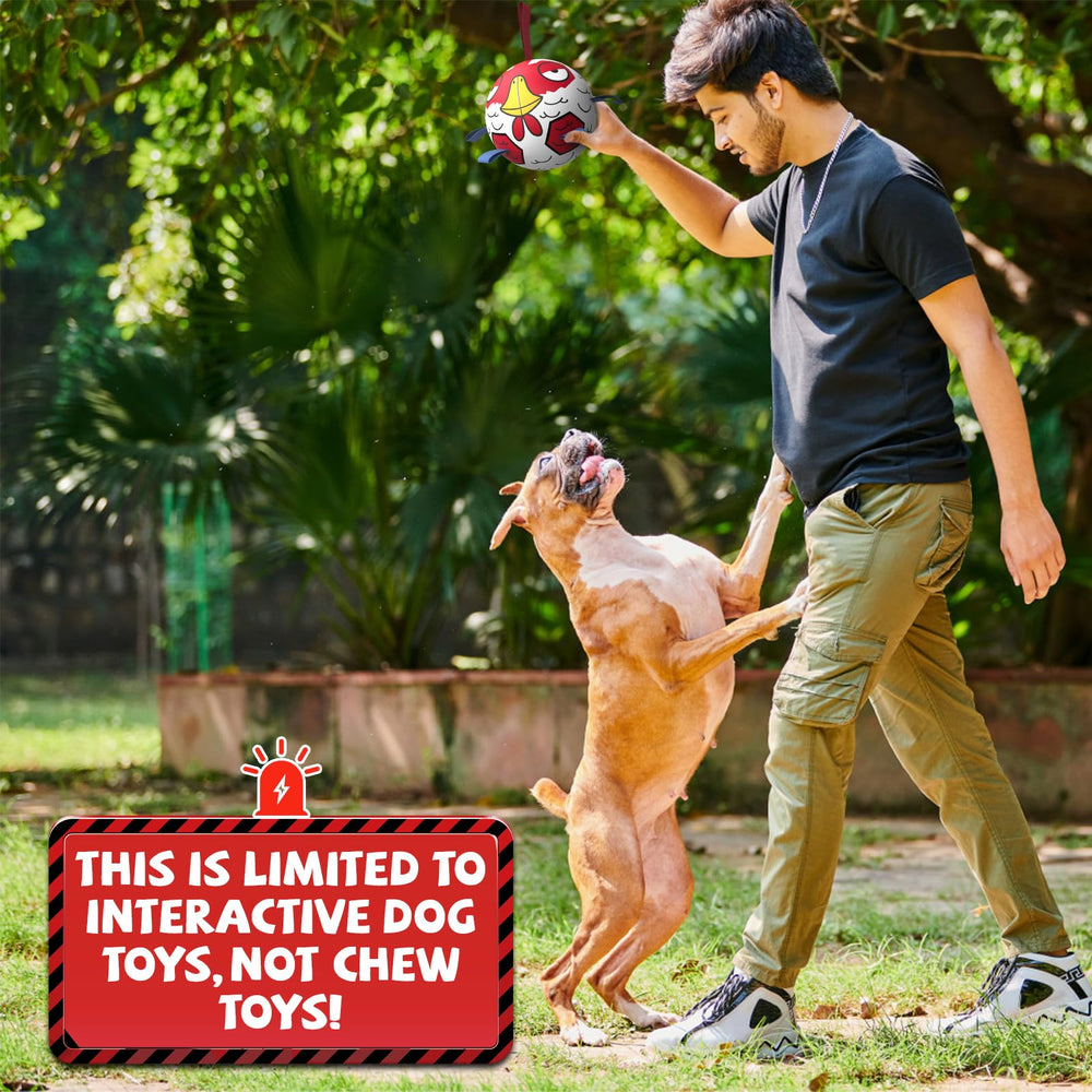 QDAN ball toy easy to clean after water play.