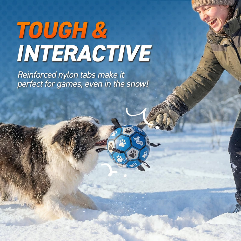QDAN floating dog ball toy ideal for water play and swimming sessions.