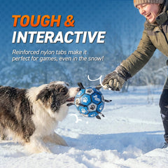 QDAN floating dog ball toy ideal for water play and swimming sessions.