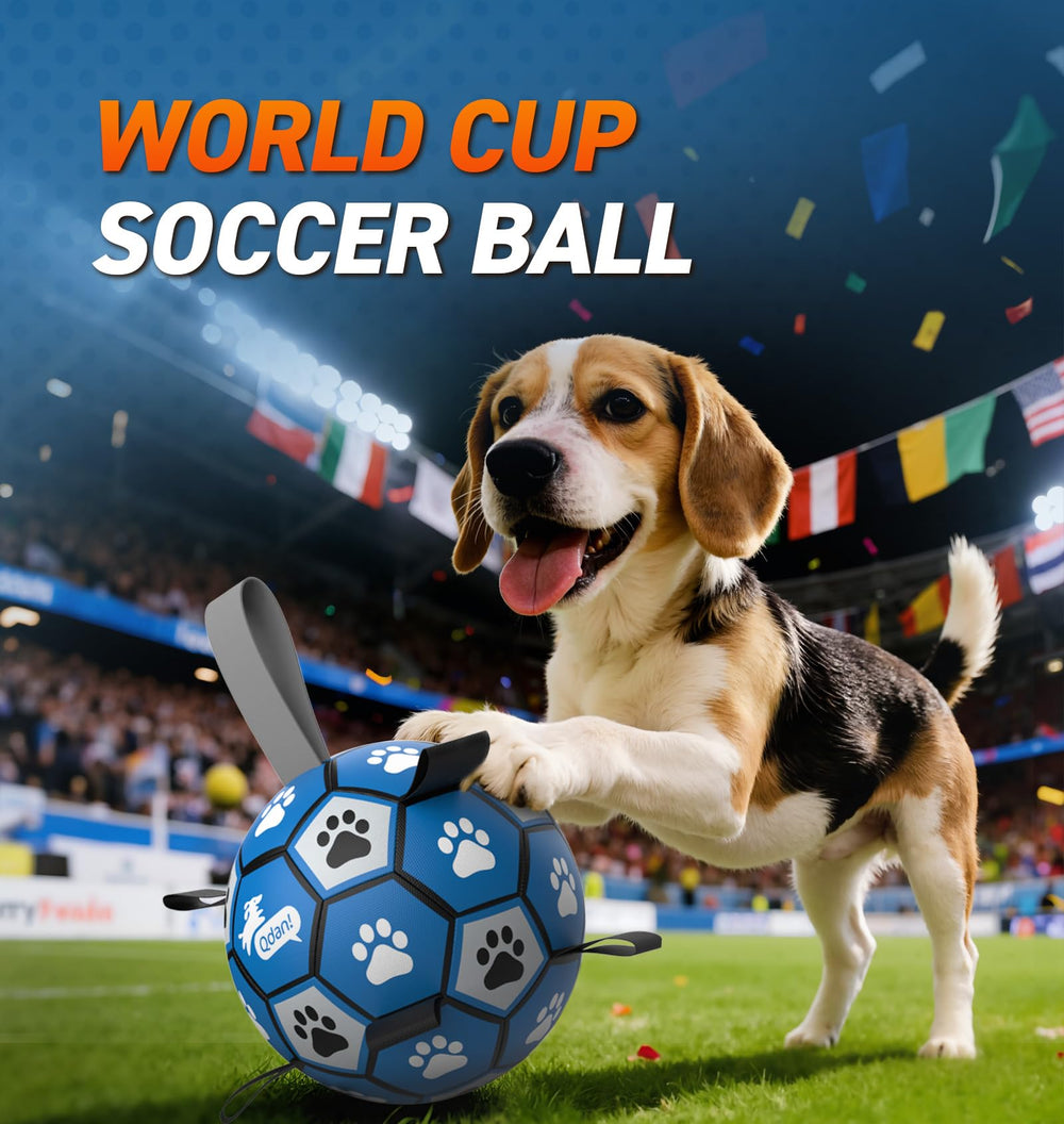 QDAN interactive ball with grab straps boosts engagement during training.