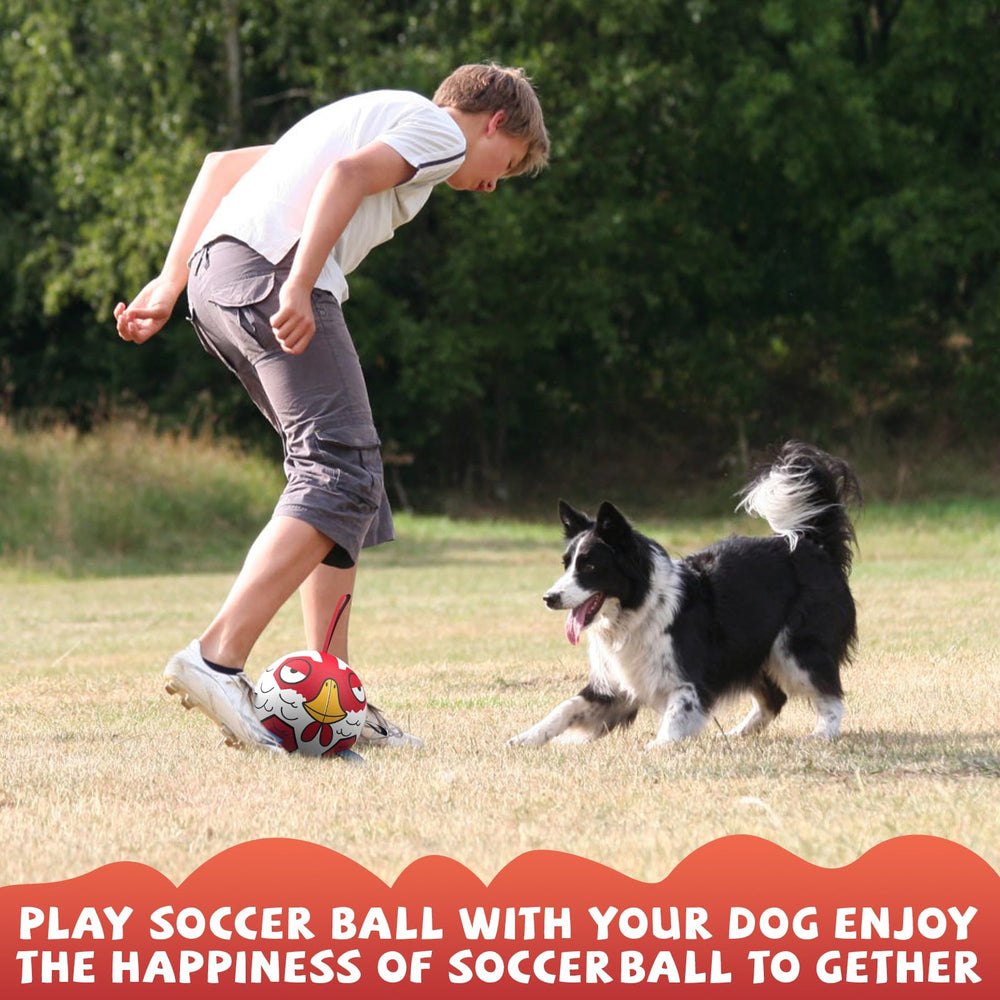 QDAN dog ball toy waterproof for indoor and outdoor adventures.