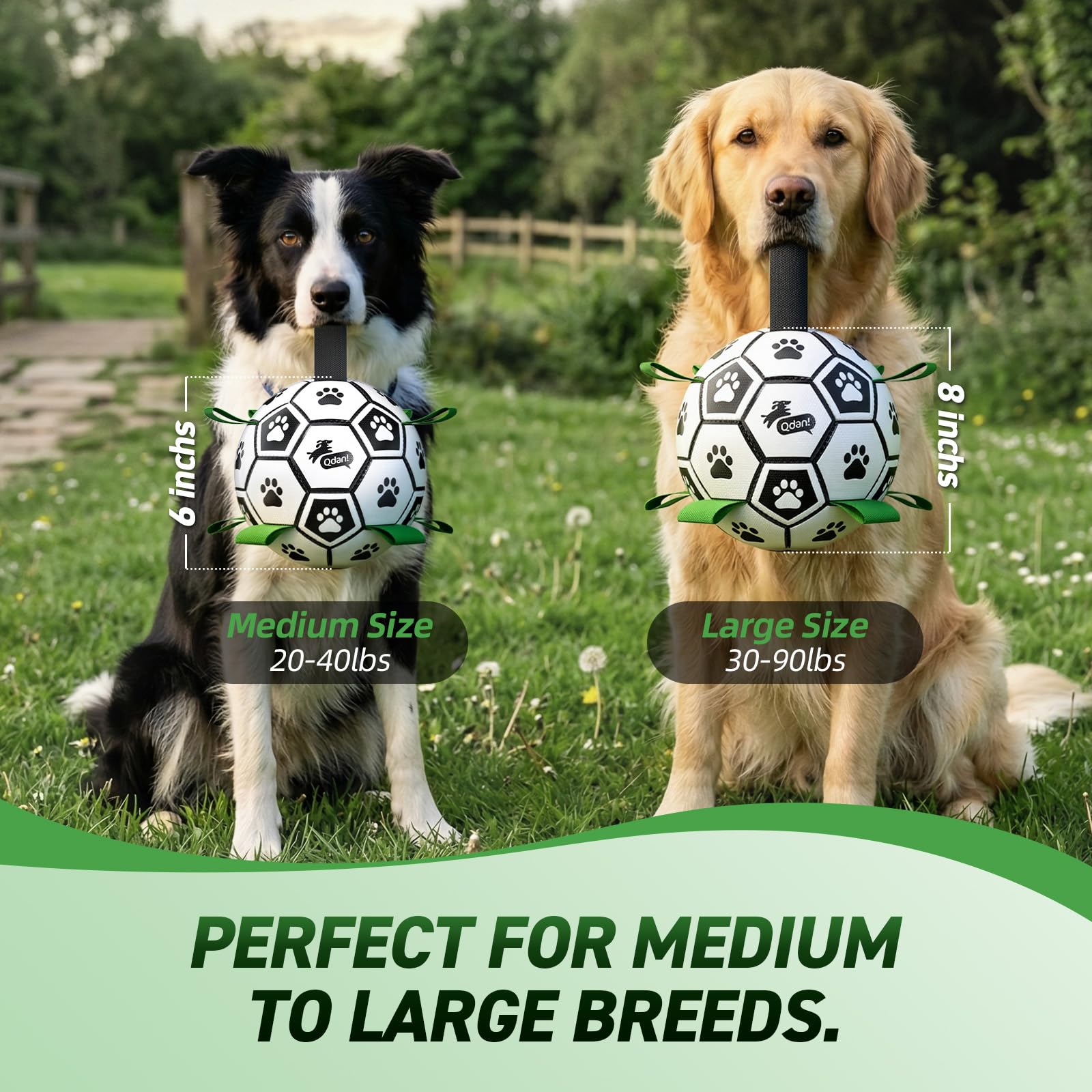 QDAN dog ball suitable for indoor and outdoor fun to curb boredom.