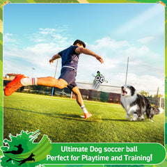 QDAN dog ball with tug straps supports bonding during fetch and tug-of-war.