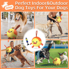 QDAN dog ball floats in water for splashy outdoor play