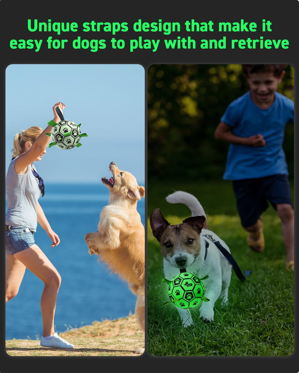QDAN waterproof dog ball designed for water play and splashy fun.