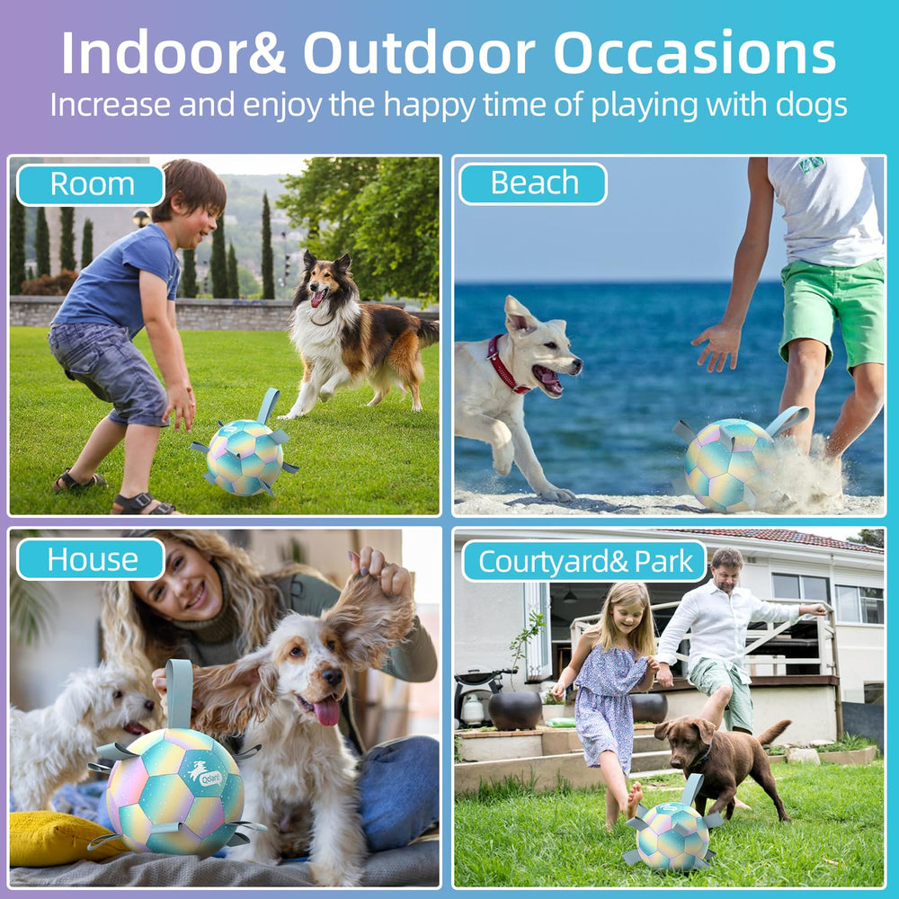 QDAN dog balls made from eco-friendly rubber for safety and durability