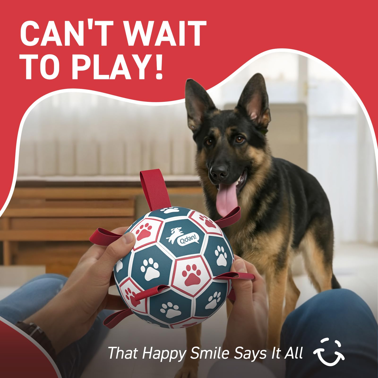 QDAN dog enjoys active play with strap ball outdoors.