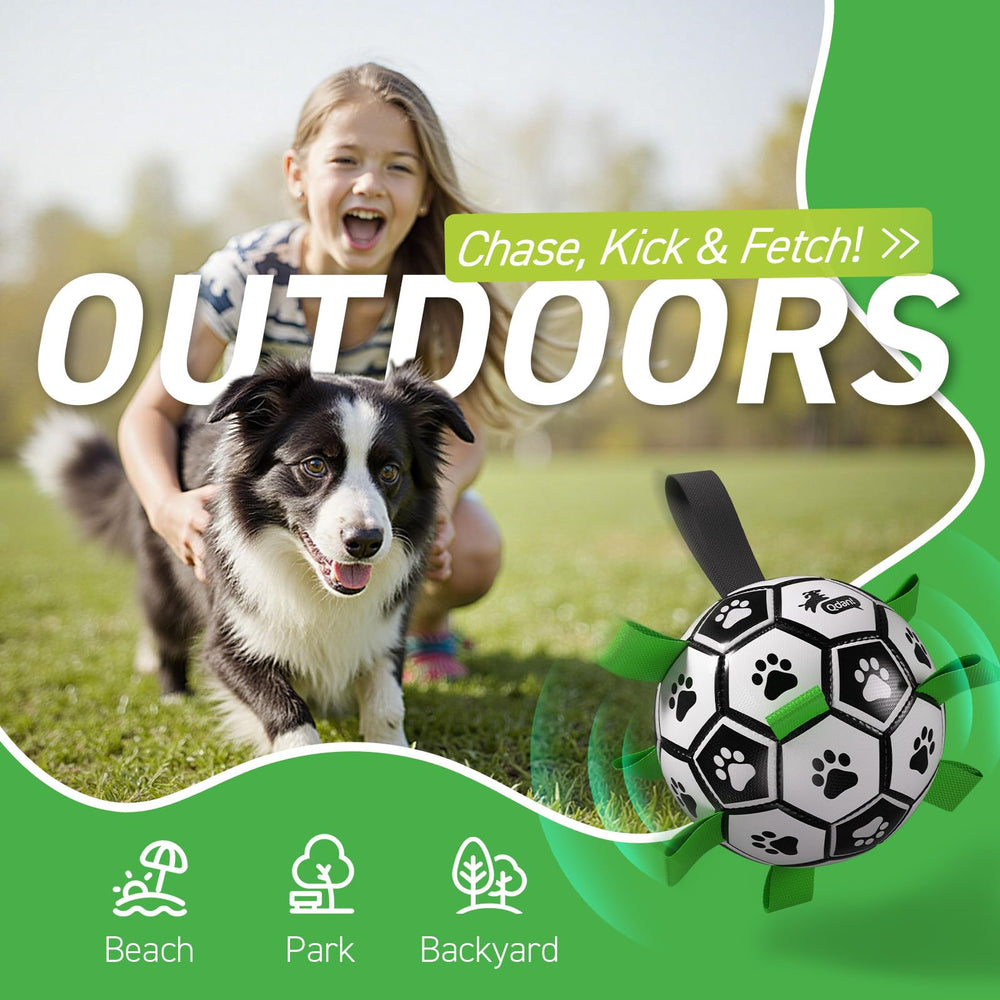 QDAN dog soccer ball with bounce-friendly surface for outdoor games.