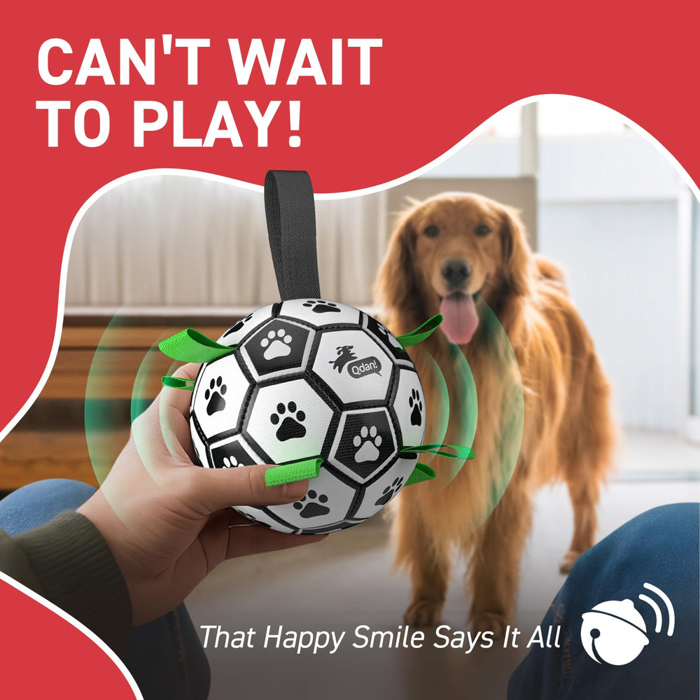 QDAN ball suited for indoor and outdoor use for busy dogs.