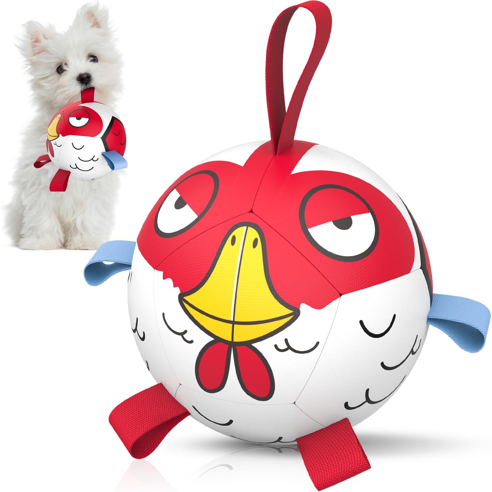 QDAN 5-inch dog toy balls for small dogs—perfect for training and fetch.