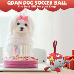 QDAN dog toy balls with straps—easy to grab and toss during play.