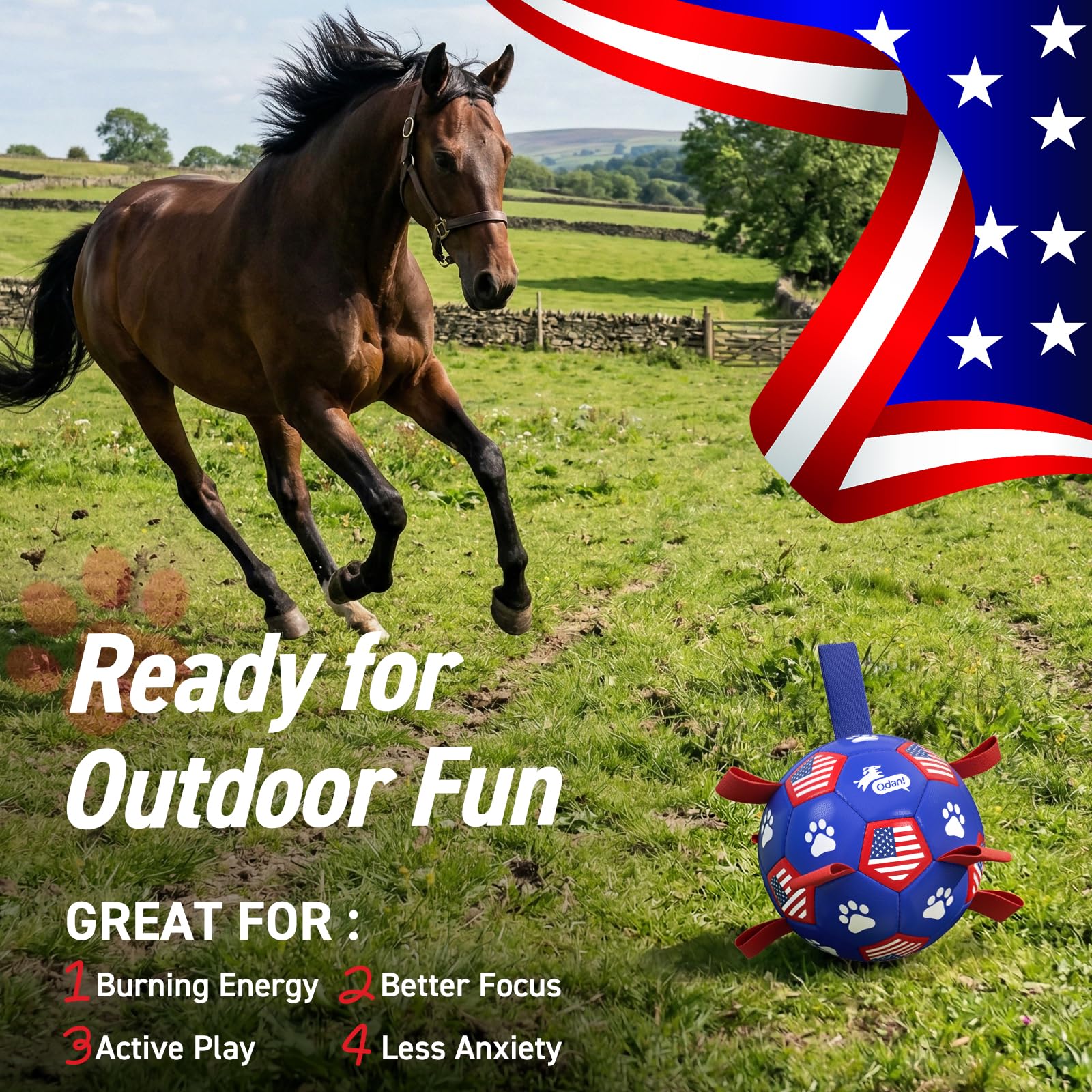 QDAN dog pool toy for splashy water play at the beach