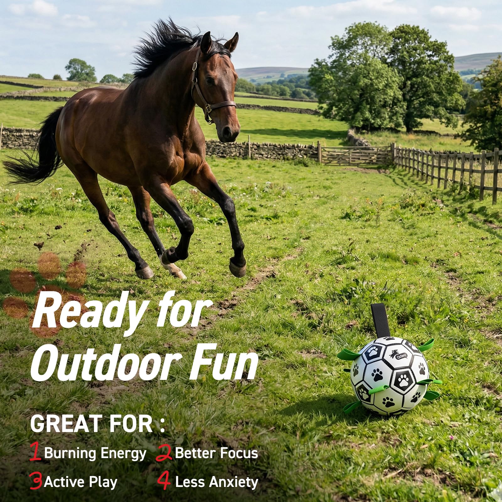 QDAN interactive ball encourages active play and fetch sessions