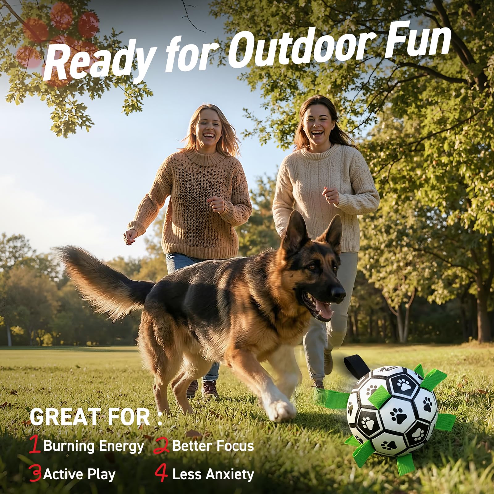 QDAN large-dog ball stays buoyant and easy to grab