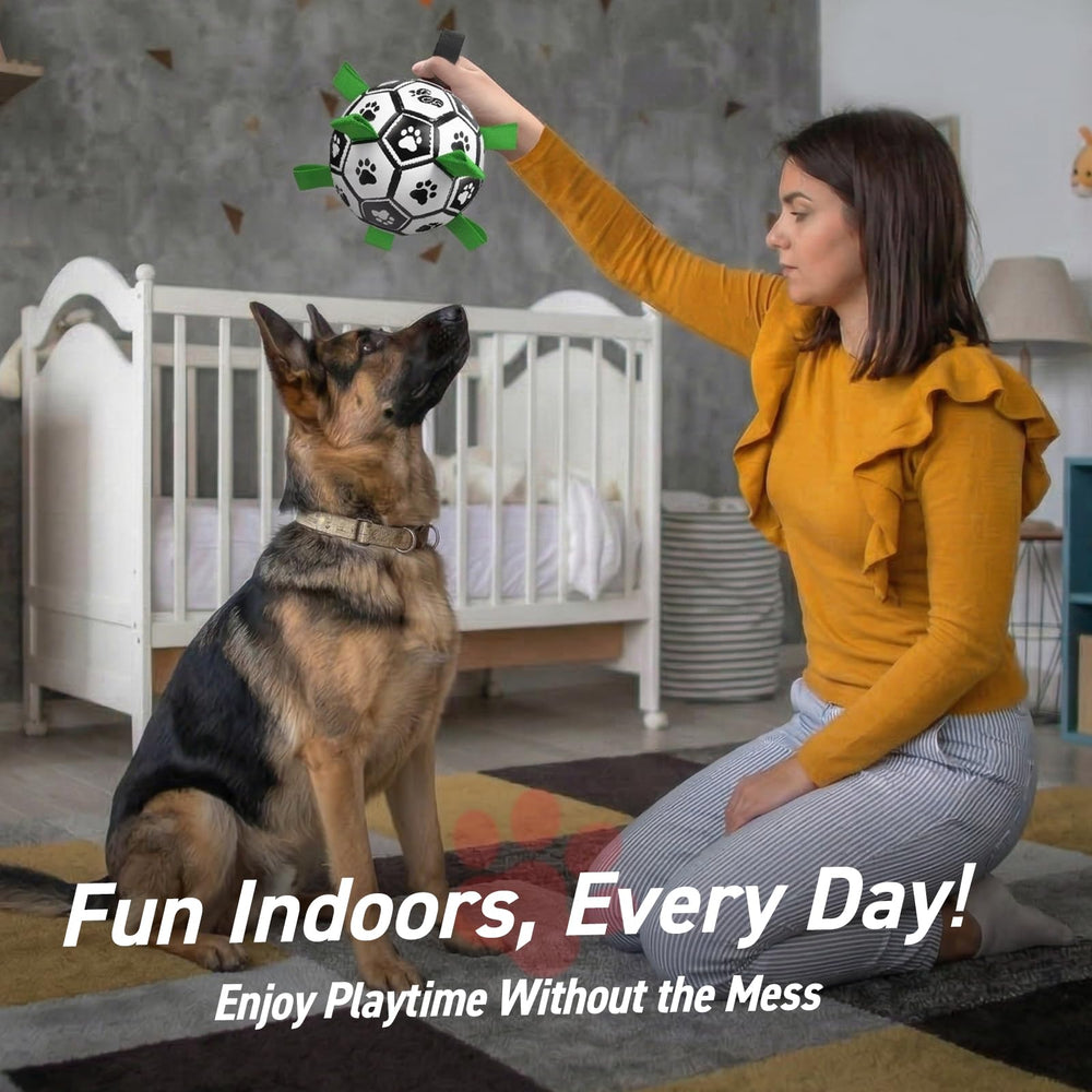 QDAN outdoor indoor toy suitable for home and yard fun