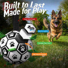 QDAN premium PU ball, 9 inches, built for strong chewers