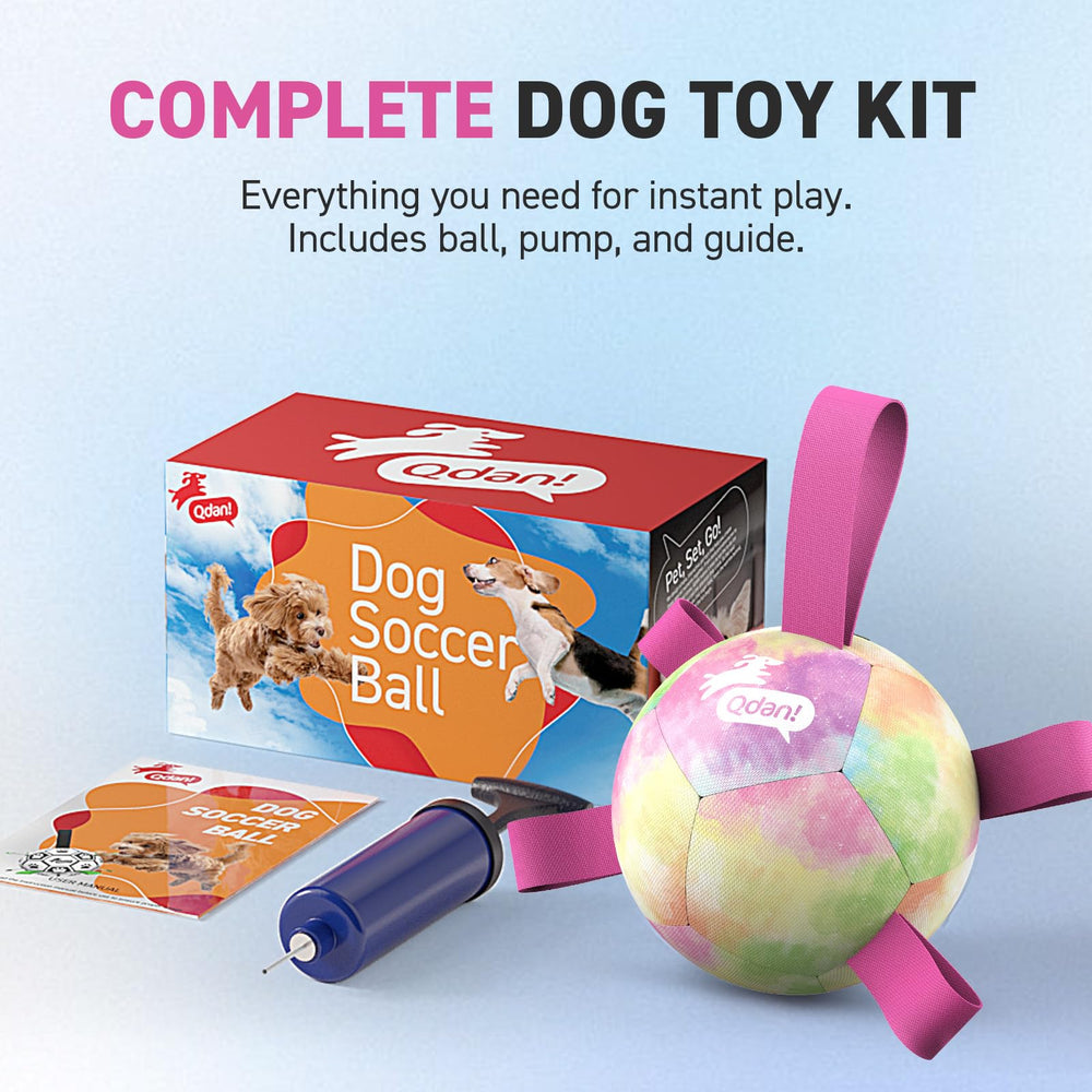QDAN small-dog size ensures safe, supervised fun for light chewers.