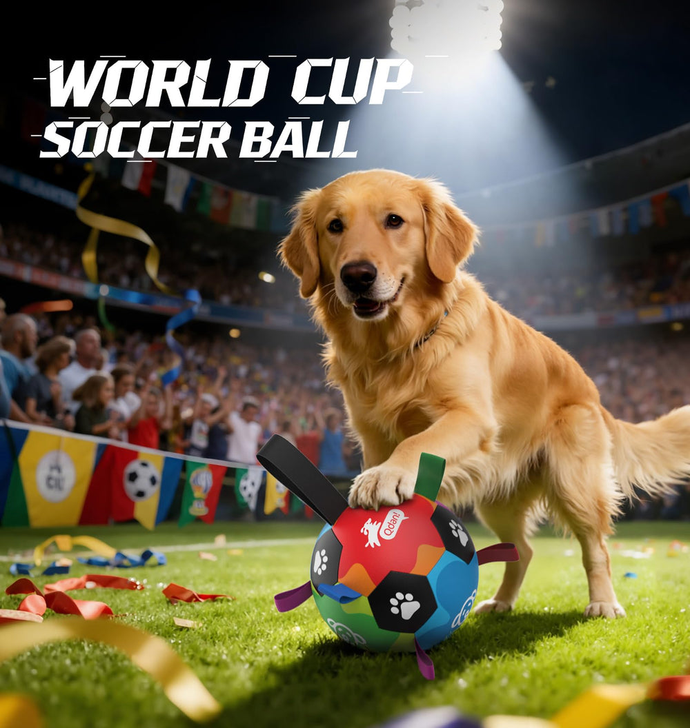 QDAN dog toys soccer ball at beach inspires outdoor fetch and training.