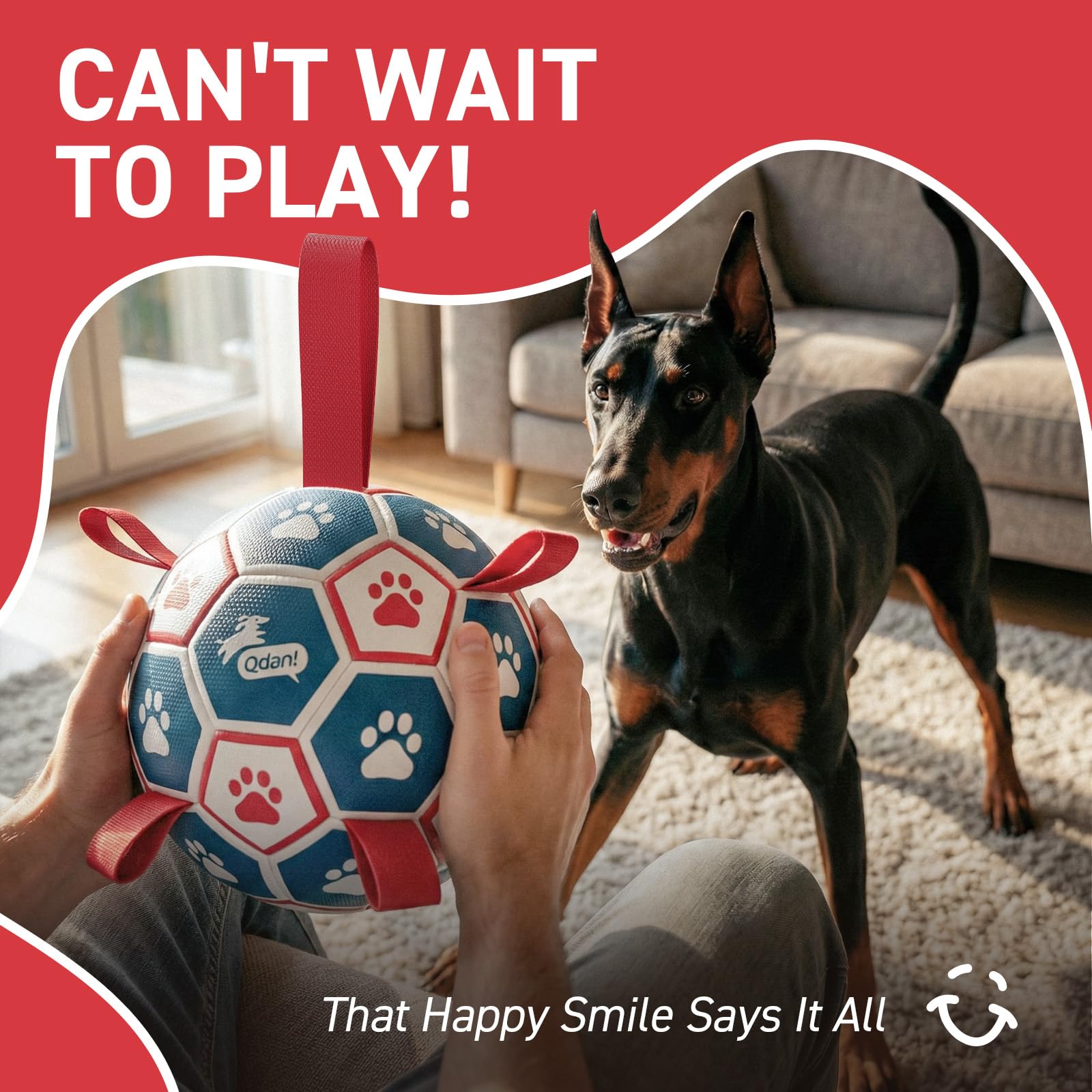 QDAN giant 10-inch ball designed for large breed dogs