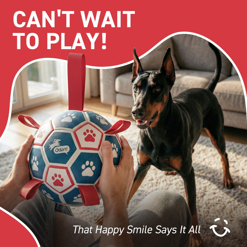 QDAN giant 10-inch ball designed for large breed dogs