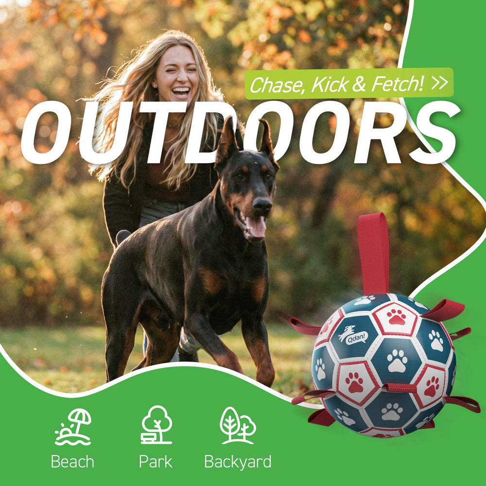 QDAN dog ball shows nylon tabs and erratic bounce for interactive play