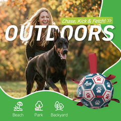 QDAN dog ball shows nylon tabs and erratic bounce for interactive play