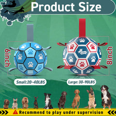 QDAN dog soccer ball during outdoor fetch demonstrating durable, safe interactive play.