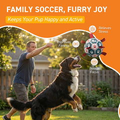 QDAN ball with straps side view, easy grip for tossing and retrieving
