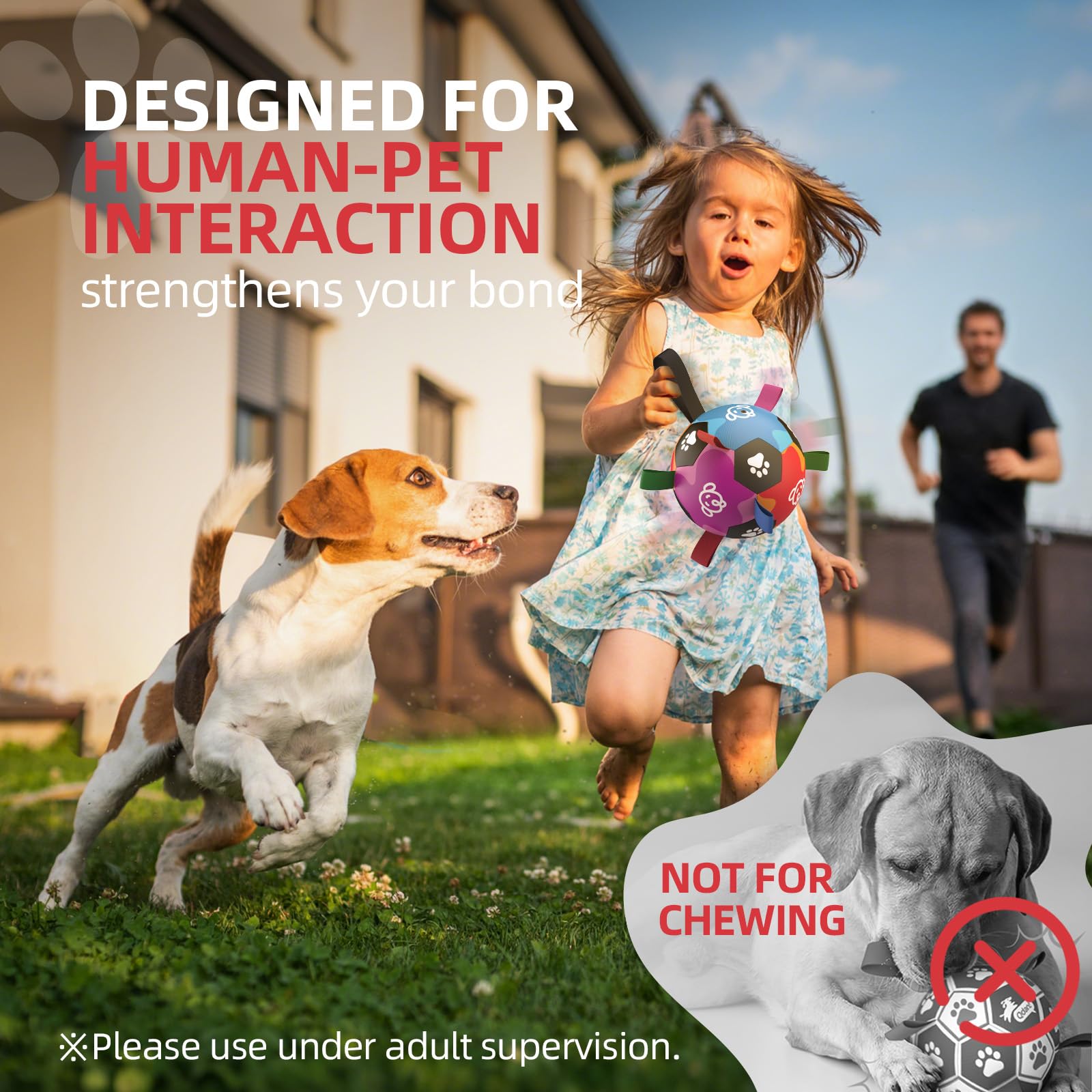 QDAN ball training aid supports obedience practice with engaging rewards.