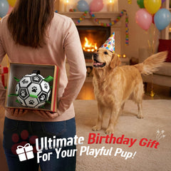QDAN tug-and-fetch ball designed with durable PU material