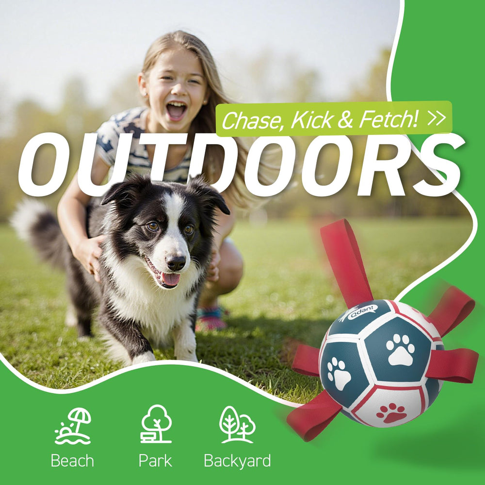 QDAN water-capable dog ball floats for pool, lake, or beach sessions