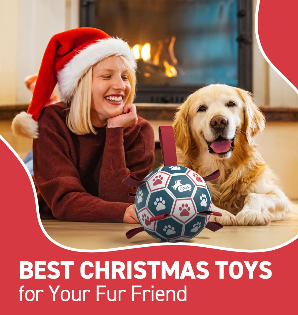 QDAN durable 6-inch dog ball for small and medium breeds.