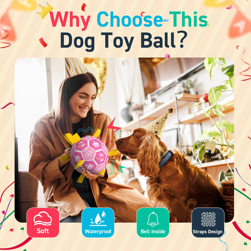 QDAN durable polyurethane dog ball designed for interactive toss and tug