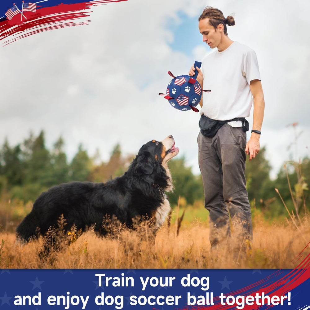 QDAN durable PU ball construction built for energetic dogs