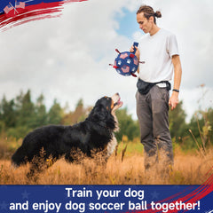QDAN durable PU ball construction built for energetic dogs