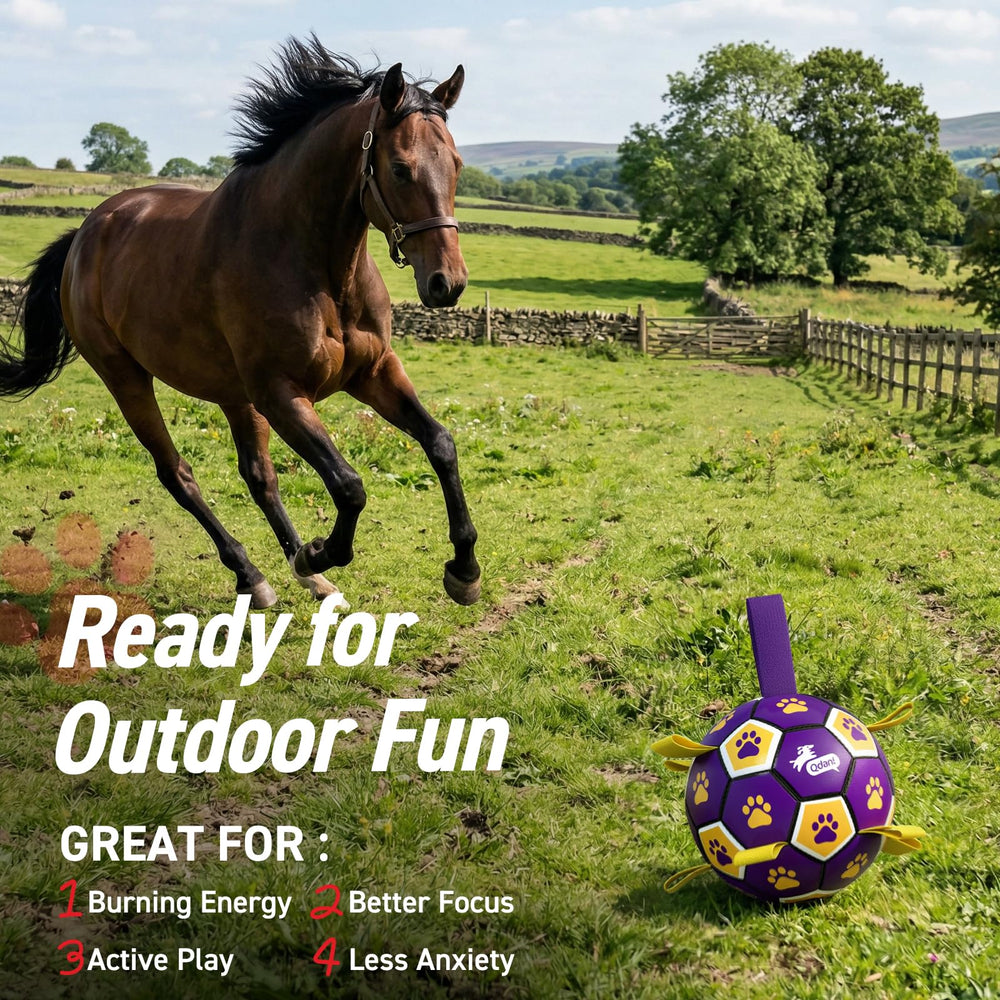 QDAN durable PU dog ball designed for long outdoor sessions.