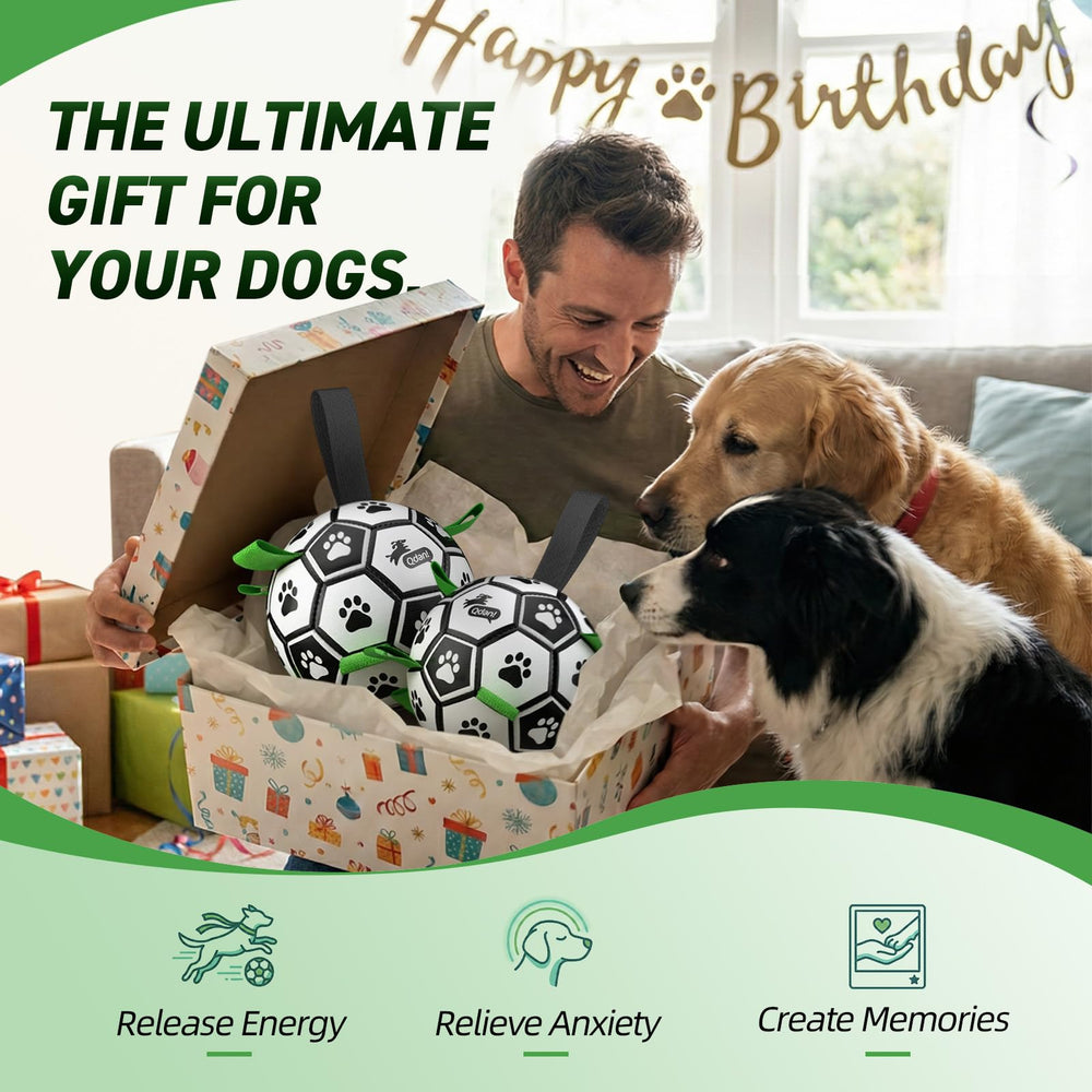 QDAN durable PU dog ball, safe and non-toxic for supervised play.