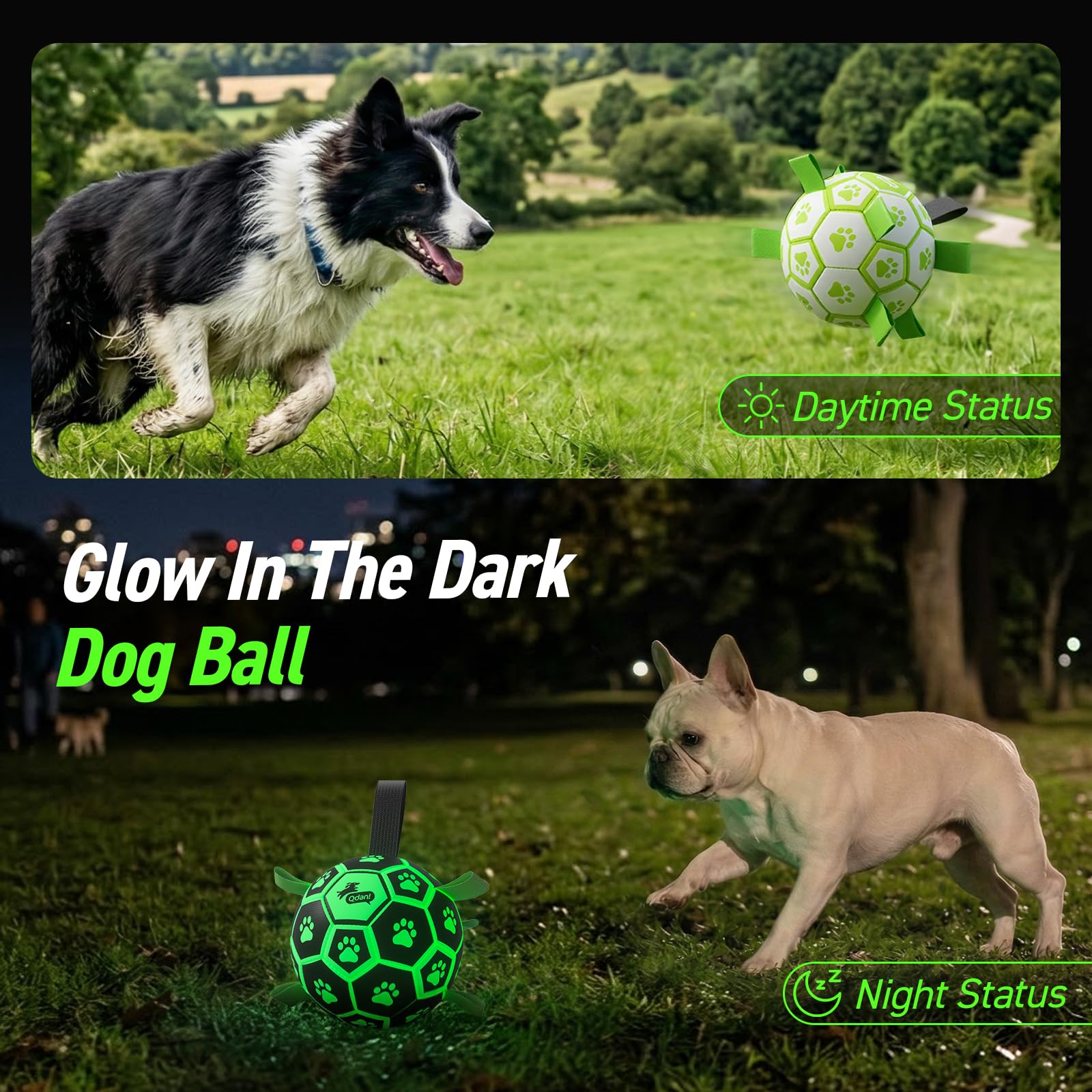 QDAN durable PU dog ball designed for safe chewing and long-lasting fun