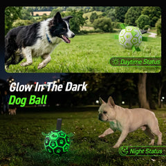 QDAN durable PU dog ball designed for safe chewing and long-lasting fun