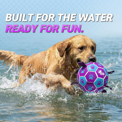 QDAN durable PU dog ball for lively fetch and bounce.