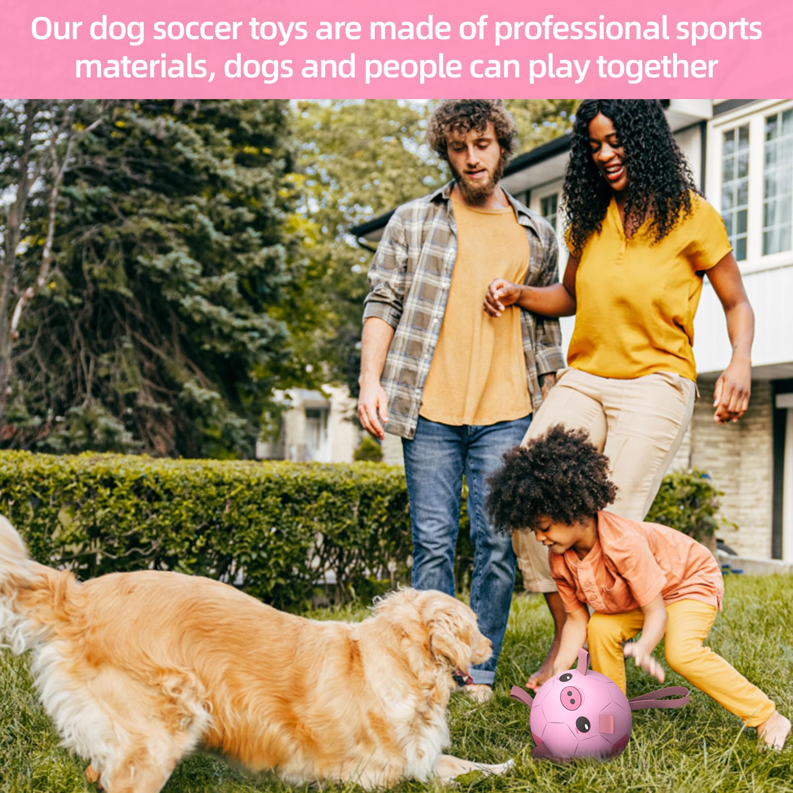 QDAN PU material is non-toxic and long-lasting for active dogs.
