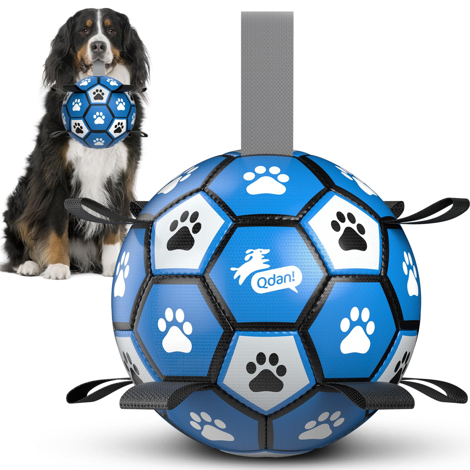 QDAN extra-large dog soccer ball 9-inch for energetic play