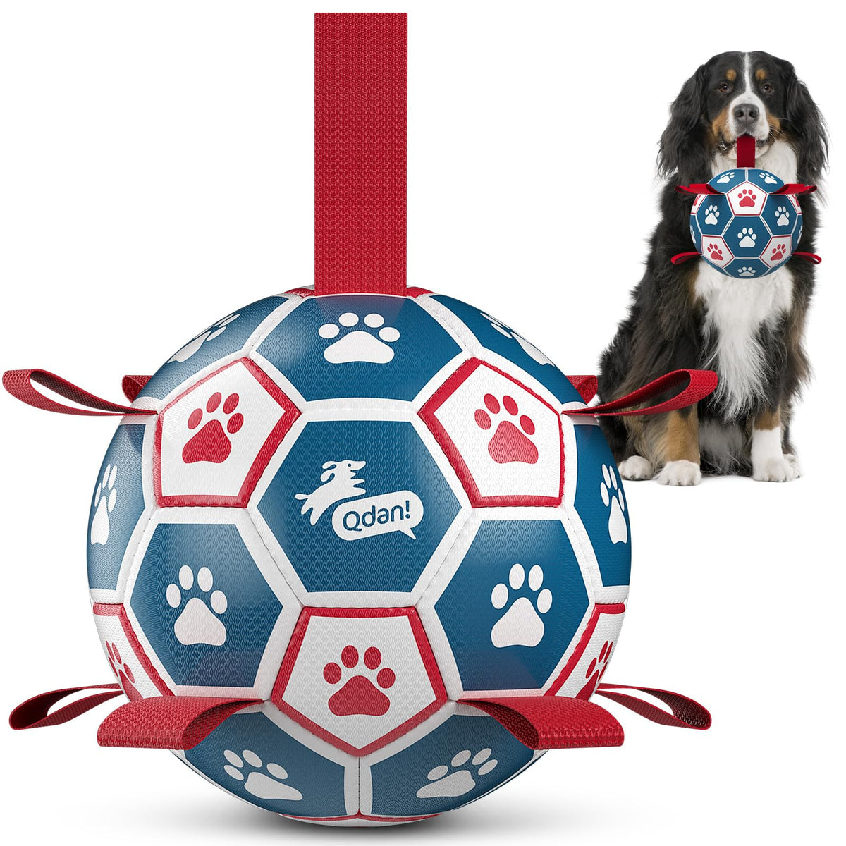QDAN extra-large soccer ball with straps for tug of war and fetch.