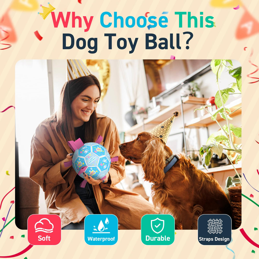 QDAN fetch and training ball supports interactive play