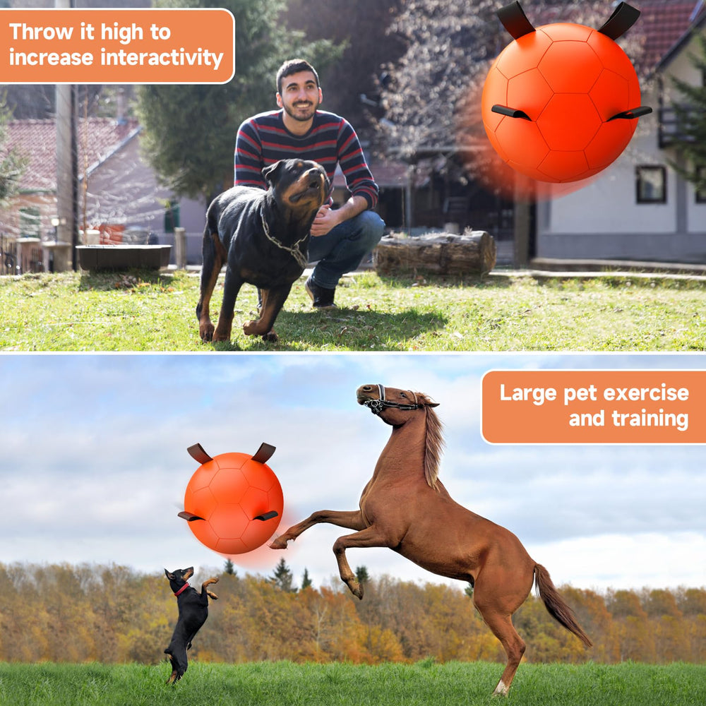 QDAN giant dog ball with powerful bounce for large breeds and play.