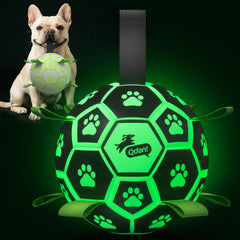 QDAN glow-in-the-dark soccer ball with straps for safe night play and training