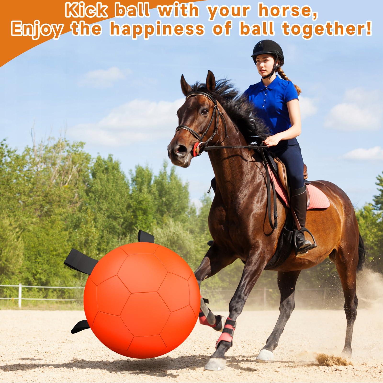 QDAN ball features four straps for easy tossing and retrieval.