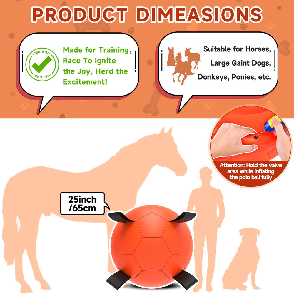 QDAN interactive ball for horses and dogs during energetic sessions.