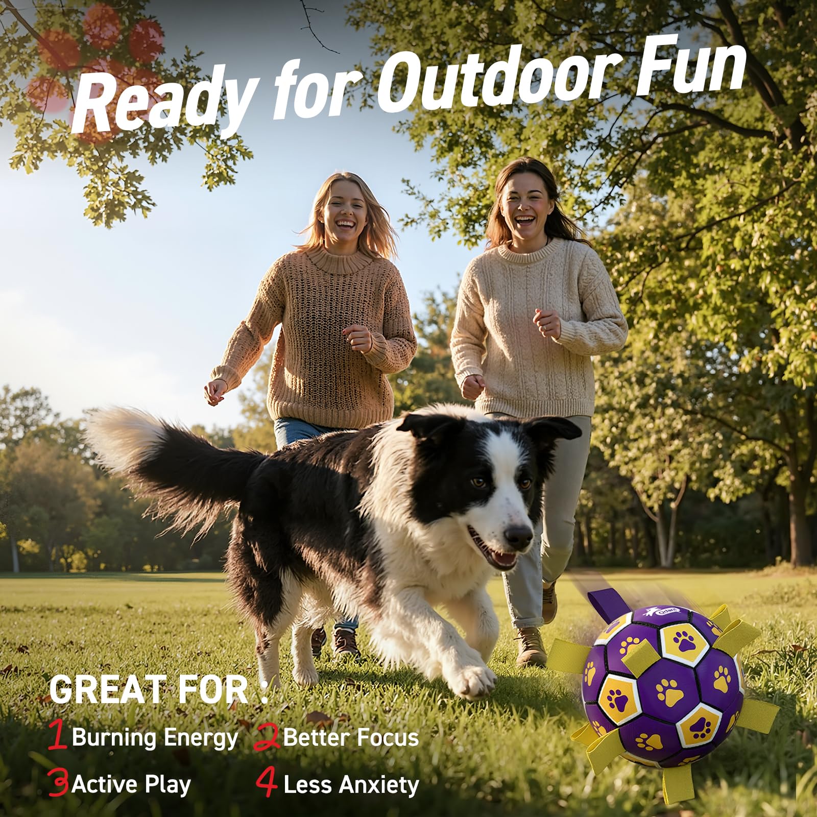 QDAN indoor-outdoor dog toy adapts to living room or yard sessions.