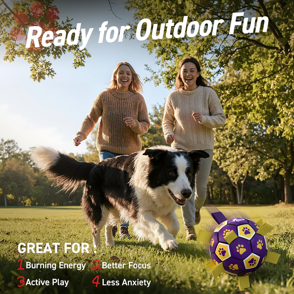 QDAN indoor-outdoor dog toy adapts to living room or yard sessions.